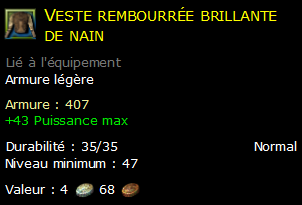 Veste rembourrée brillante de nain