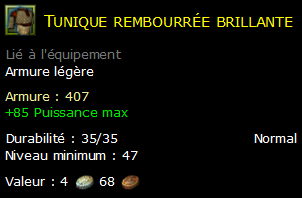 Tunique rembourrée brillante