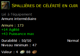 Spallières de célérité en cuir