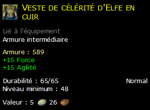 Veste de célérité d'Elfe en cuir