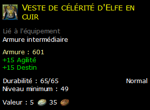 Veste de célérité d'Elfe en cuir