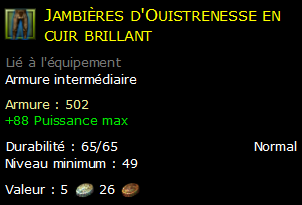 Jambières d'Ouistrenesse en cuir brillant