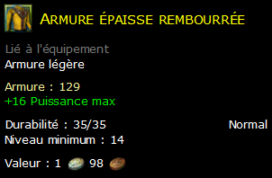 Armure épaisse rembourrée