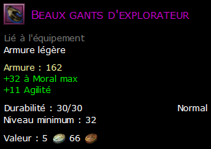 Beaux gants d'explorateur