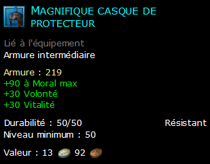 Magnifique casque de protecteur