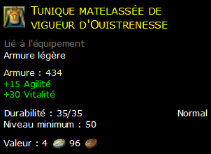 Tunique matelassée de vigueur d'Ouistrenesse