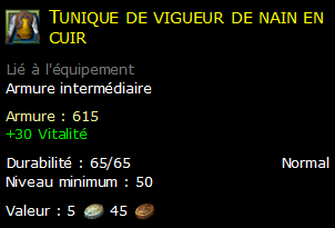 Tunique de vigueur de nain en cuir