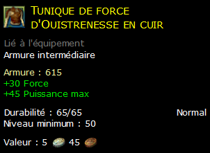 Tunique de force d'Ouistrenesse en cuir