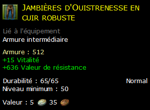 Jambières d'Ouistrenesse en cuir robuste