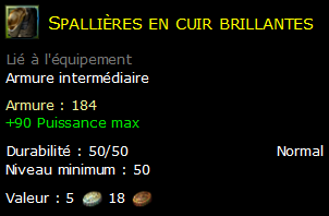 Spallières en cuir brillantes