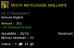 Veste matelassée brillante