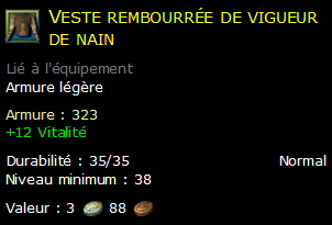 Veste rembourrée de vigueur de nain