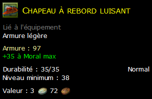 Chapeau à rebord luisant