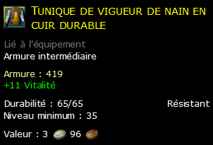 Tunique de vigueur de nain en cuir durable