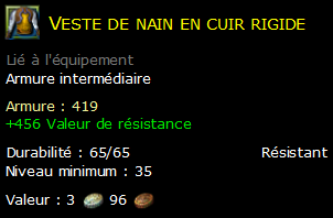 Veste de nain en cuir rigide