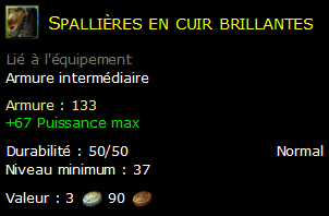 Spallières en cuir brillantes