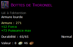 Bottes de Thoroniel