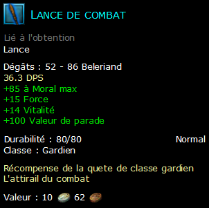 Lance de combat