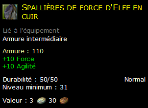 Spallières de force d'Elfe en cuir