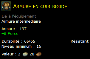 Armure en cuir rigide