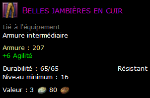 Belles jambières en cuir