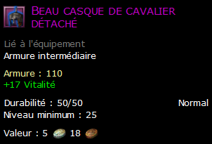 Beau casque de cavalier détaché