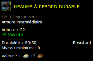 Heaume à rebord durable