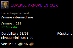 Superbe armure en cuir