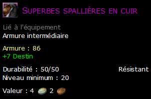 Superbes spallières en cuir