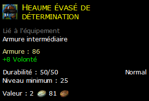 Heaume évasé de détermination