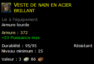 Veste de nain en acier brillant