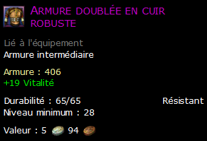 Armure doublée en cuir robuste