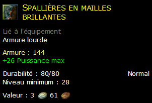 Spallières en mailles brillantes