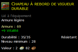 Chapeau à rebord de vigueur durable