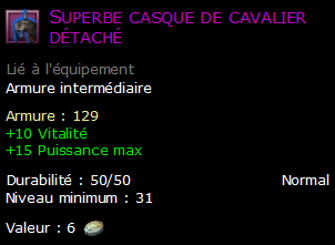 Superbe casque de cavalier détaché