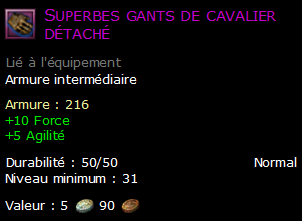 Superbes gants de cavalier détaché