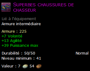 Superbes chaussures de chasseur