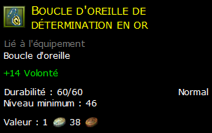 Boucle d'oreille de détermination en or