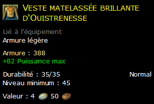 Veste matelassée brillante d'Ouistrenesse