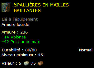 Spallières en mailles brillantes