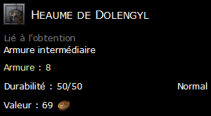 Heaume de Dolengyl