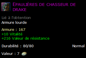 Epaulières de chasseur de drake