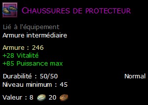 Chaussures de protecteur