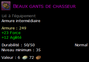 Beaux gants de chasseur