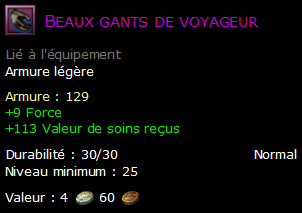 Beaux gants de voyageur