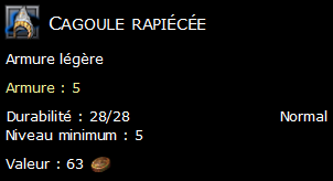 Cagoule rapiécée