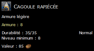 Cagoule rapiécée