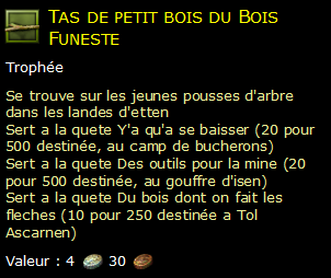 Tas de petit bois du Bois Funeste