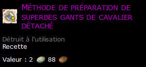 Méthode de préparation de superbes gants de cavalier détaché