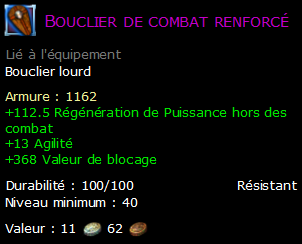 Bouclier de combat renforcé